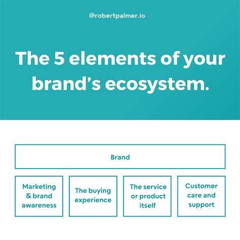 burberry brand ecosystem